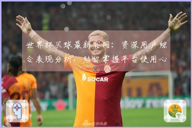 世界杯买球最新官网：资深用户综合表现分析，助你掌握平台使用心得
