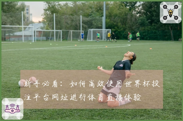 新手必看：如何高效使用世界杯投注平台网址进行体育直播体验