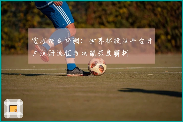 官方综合评测：世界杯投注平台开户注册流程与功能深度解析