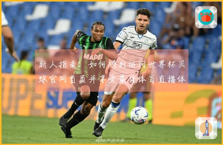 新人指南：如何顺利访问世界杯买球官网首页并享受最佳体育直播体验