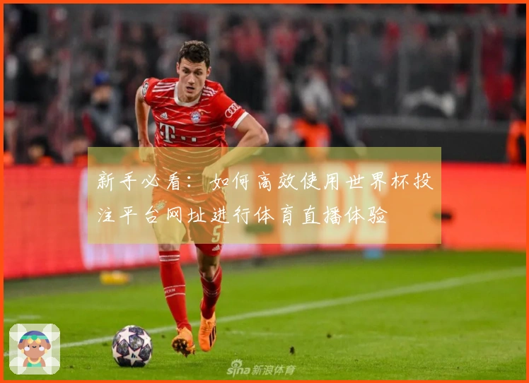 新手必看：如何高效使用世界杯投注平台网址进行体育直播体验