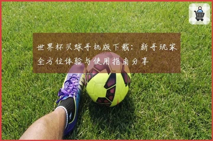 世界杯买球手机版下载：新手玩家全方位体验与使用指南分享