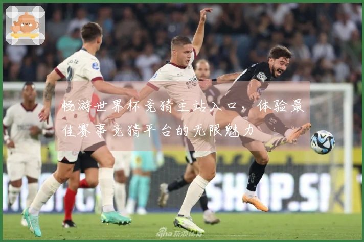 畅游世界杯竞猜主站入口，体验最佳赛事竞猜平台的无限魅力