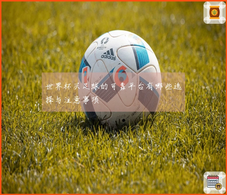 世界杯买足球的可靠平台有哪些选择与注意事项