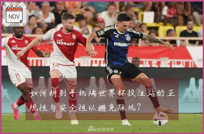 如何辨别手机端世界杯投注站的正规性与安全性以避免踩坑？