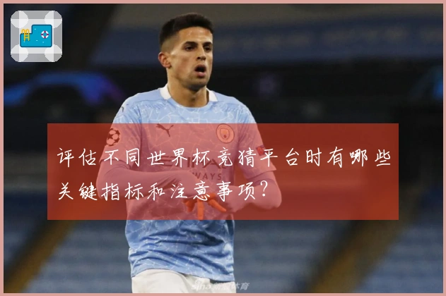 评估不同世界杯竞猜平台时有哪些关键指标和注意事项？