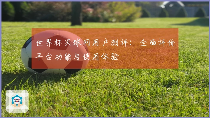 世界杯买球网用户测评：全面评价平台功能与使用体验
