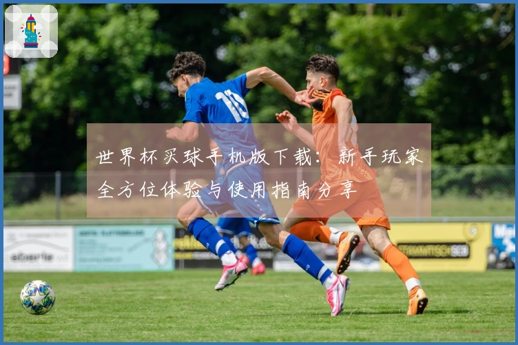 世界杯买球手机版下载：新手玩家全方位体验与使用指南分享